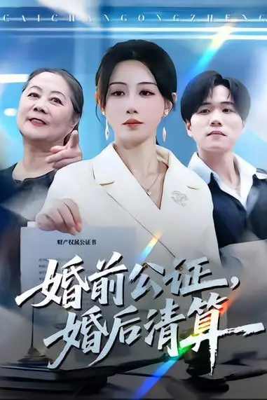 《婚前公证，婚后清算》封面