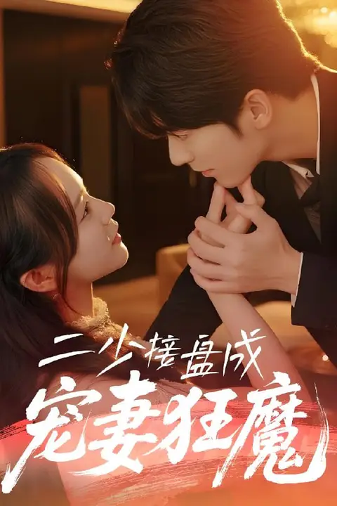 《二少接盘成宠妻狂魔》封面