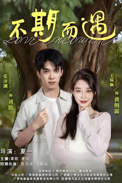 《不期而遇》封面