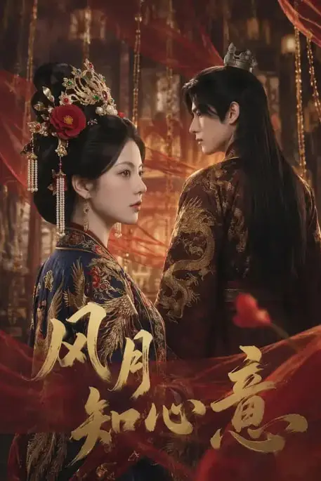 《风月知心意》封面