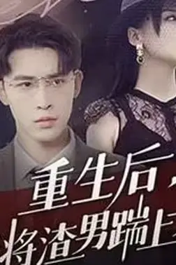 《重生后我将渣男踹上天》封面