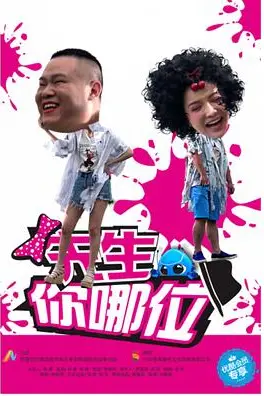 《先生,你哪位》封面