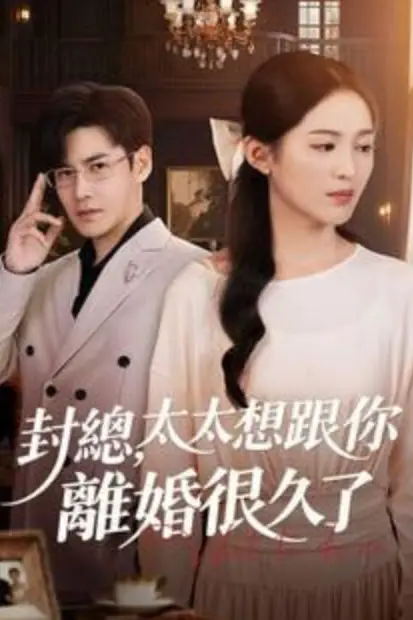 《封总，太太跟你离婚很久了》封面