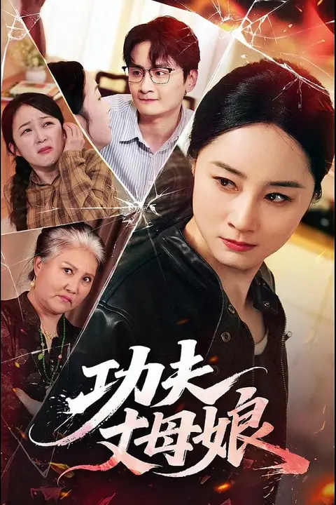 《功夫丈母娘》封面