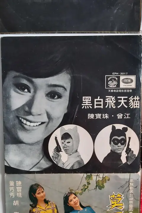 《黑白飞天猫》封面