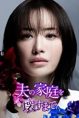 《直到破坏了丈夫的家庭》封面