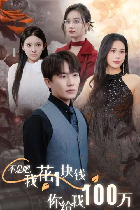 《不是吧，我花1块钱你给我100万（24小时我百倍返现）》封面