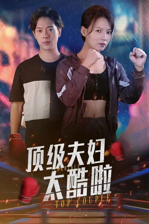 《顶级夫妇太酷啦》封面