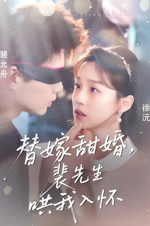 《替嫁甜婚裴先生哄我入怀》封面
