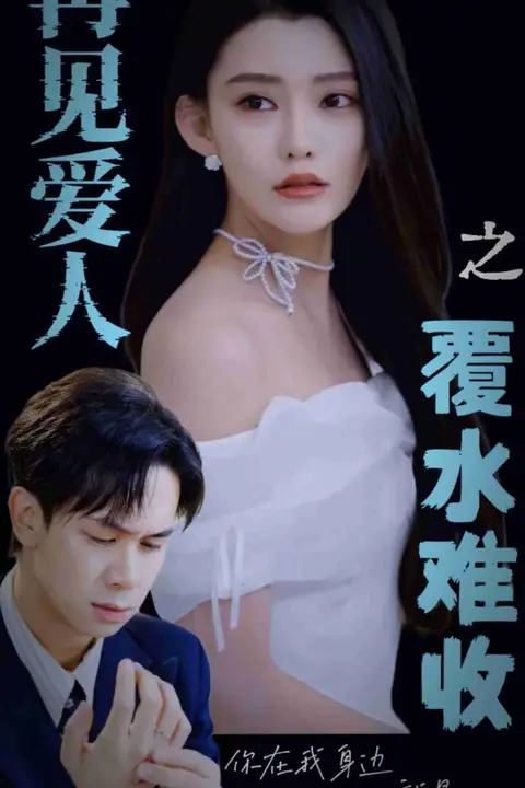 《再见爱人之覆水难收》封面
