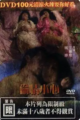 《偷情小心》封面