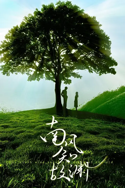 《南风知故渊》封面