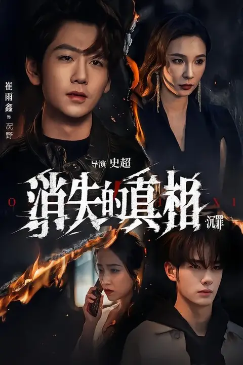 《消失的真相沉罪》封面