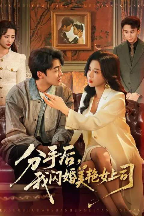 《分手后,我闪婚美艳女上司》封面