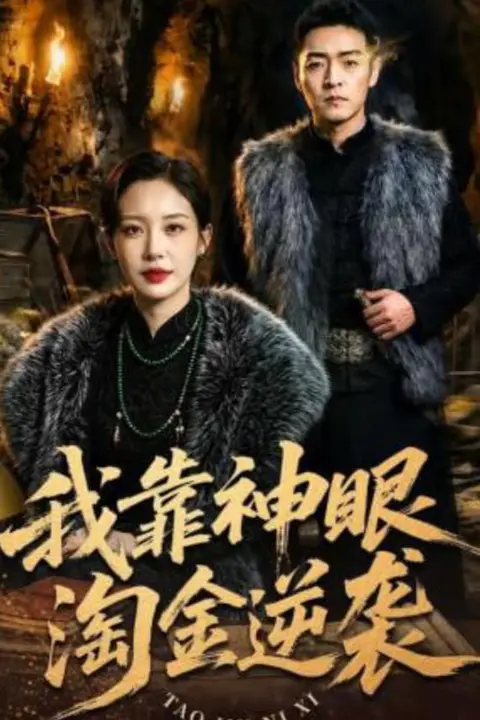 《我靠神眼淘金逆袭》封面