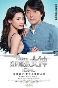 《我的极品女神》封面