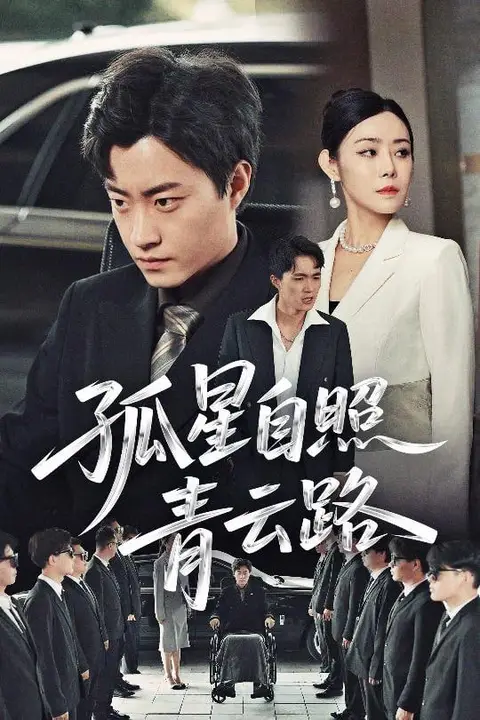 《孤星自照青云路》封面