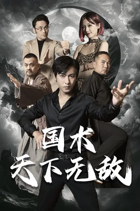 《国术天下无敌》封面