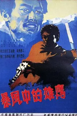 《暴风中的雄鹰》封面