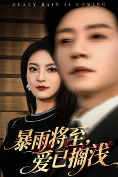 《暴雨将至爱已搁浅》封面
