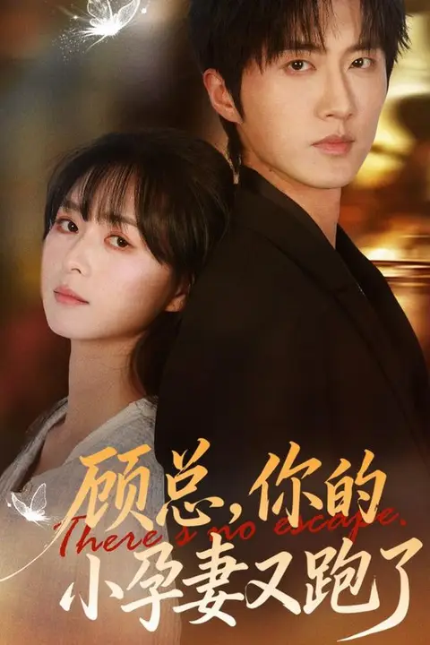 《顾总,你的小孕妻又跑了》封面