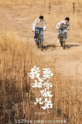 《我要和你做兄弟》封面