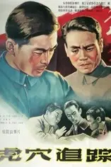 《虎穴追踪》封面