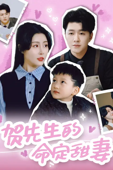 《贺先生的命定甜妻》封面