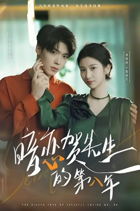 《暗恋贺先生的第八年》封面