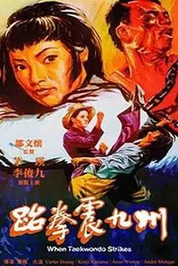 《跆拳震九州》封面