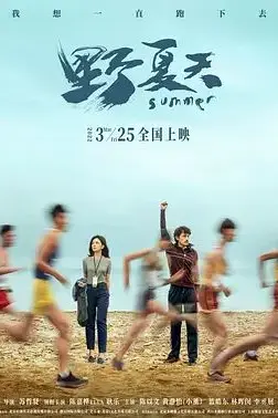 《野夏天》封面