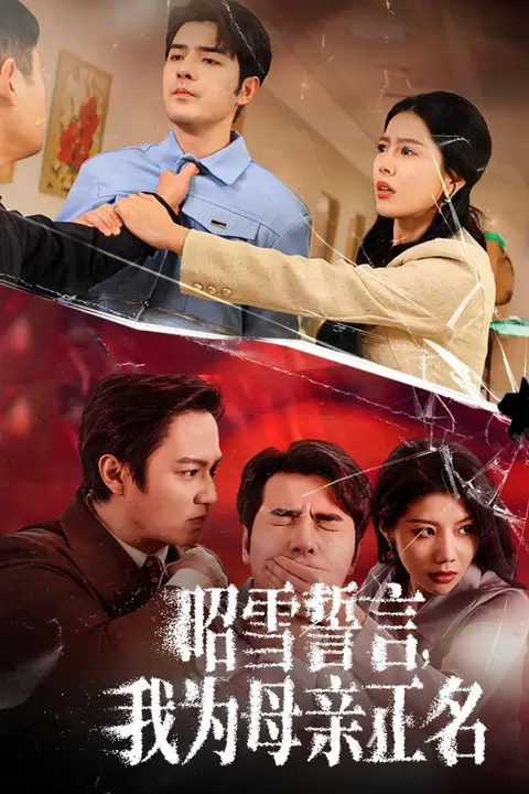 《昭雪誓言我为母亲正名》封面