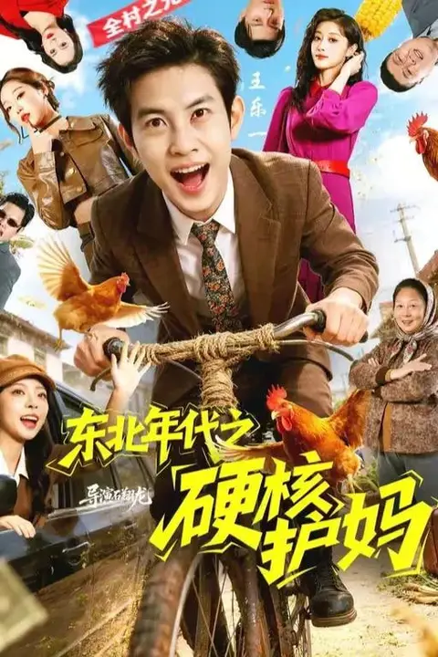 《东北年代之硬核护妈》封面