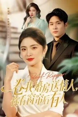 《卷我婚房送情人,你看窗帘后有人》封面