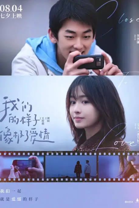 《我们的样子像极了爱情》封面