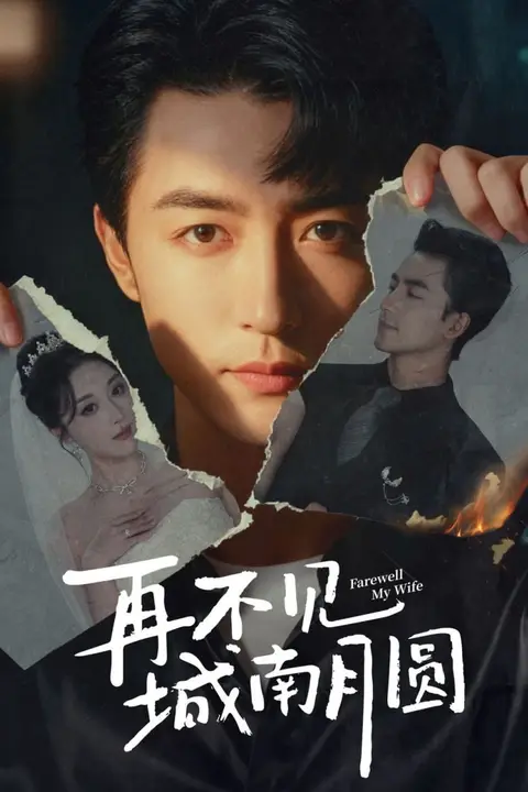 《再不见城南月圆》封面