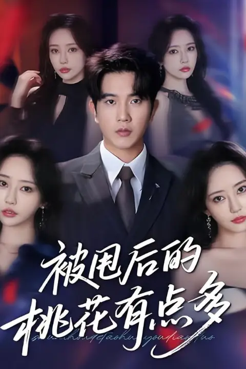 《被甩后的桃花有点多》封面