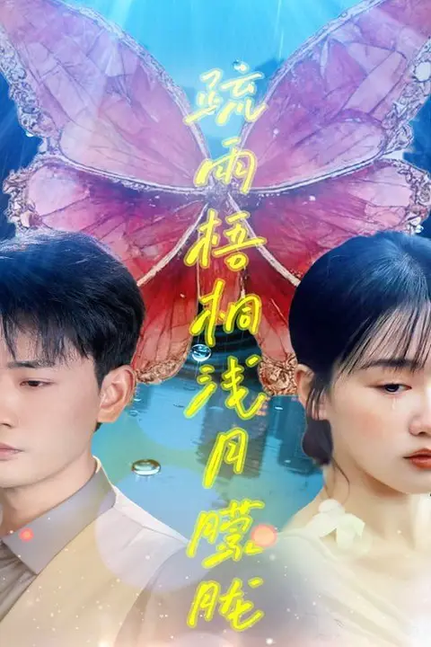 《疏雨梧桐浅月朦胧》封面