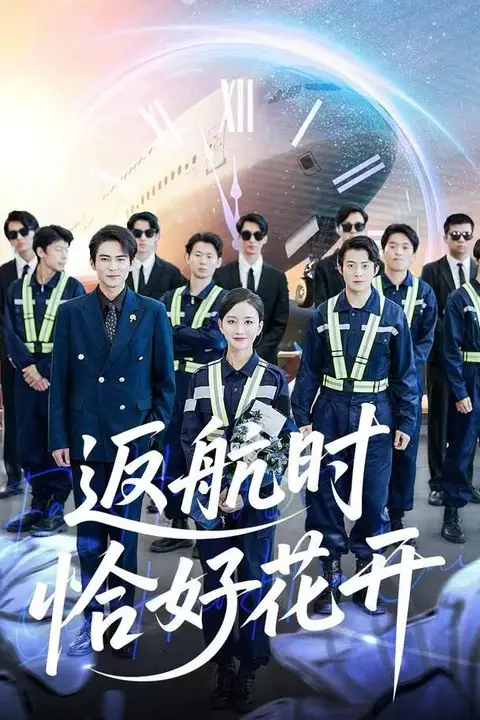 《返航时恰好花开》封面
