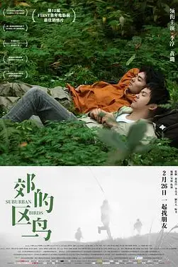 《郊区的鸟》封面