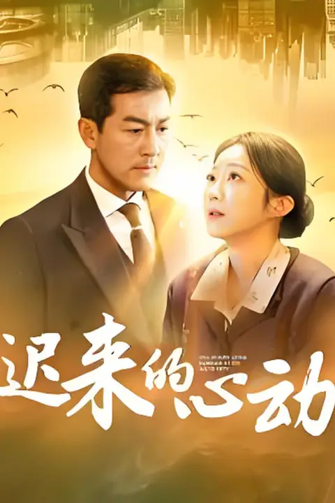 《迟来的心动》封面