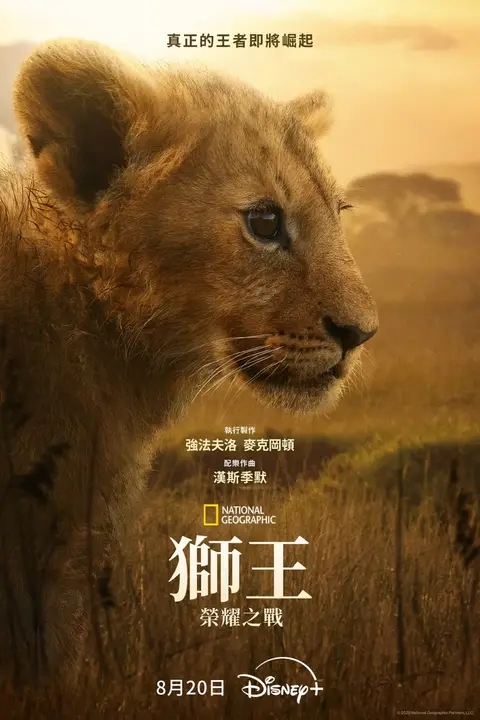 《狮王:荣耀之战》封面