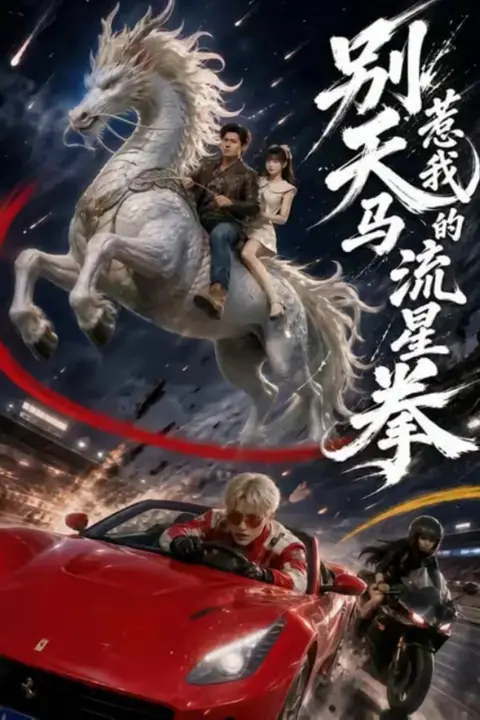 《别惹我的天马流星拳》封面