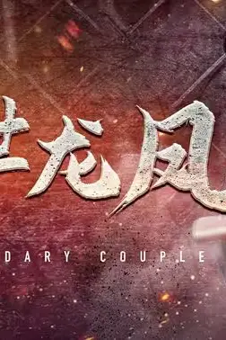 《隐世龙凤》封面