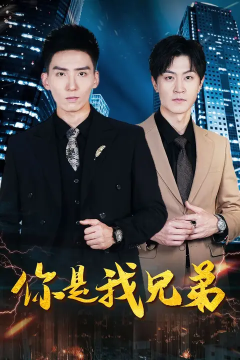 《你是我兄弟》封面
