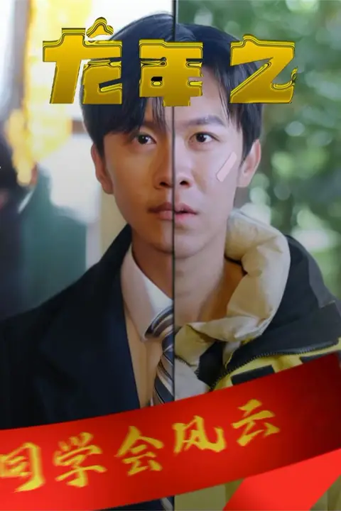 《龙年之同学会风云》封面