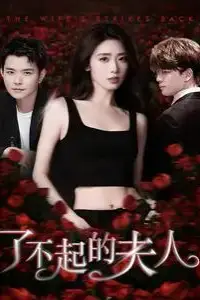 《了不起的夫人》封面