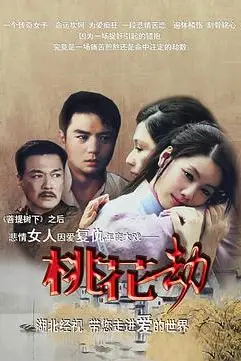 《桃花劫》封面