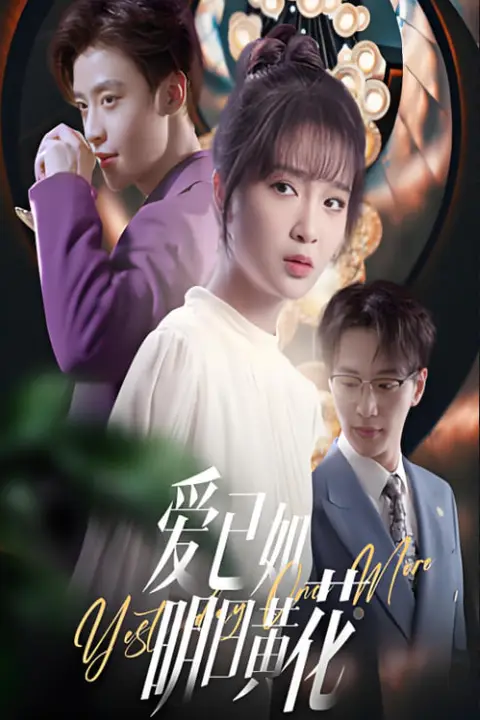 《爱已如明日黄花》封面