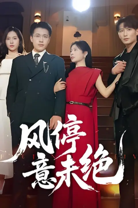 《风停意未绝》封面